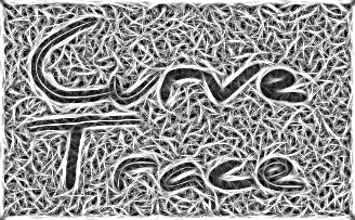 Curve Tracing on images